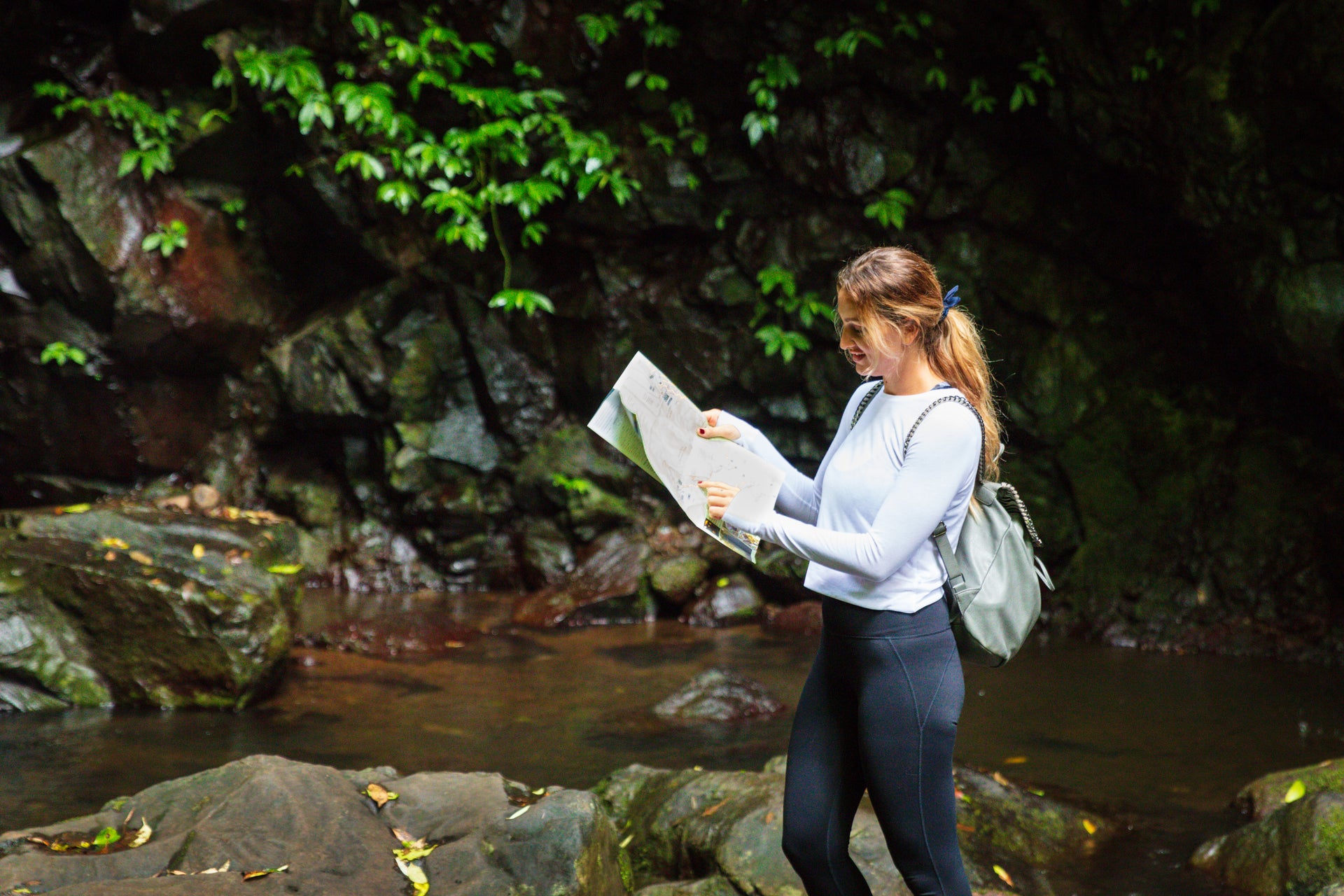 Exploring Nature's Tapestry: Walking Tracks and Camping in Kyogle