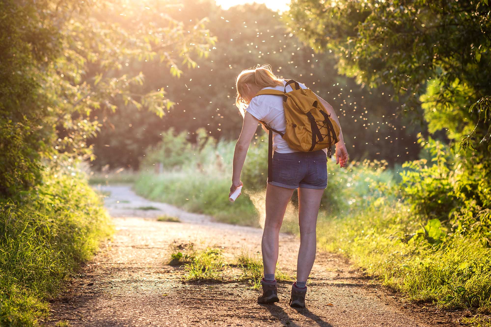 What is DEET used for in insect products? Why you should spray it on your clothes!